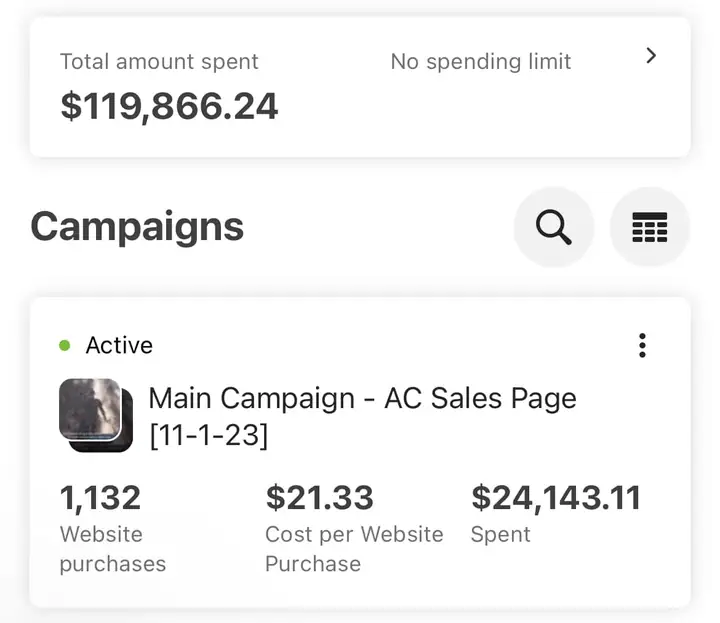 Ads Manager: $119,866.24 total spent; campaign with 1,132 website purchases at $21.33 each