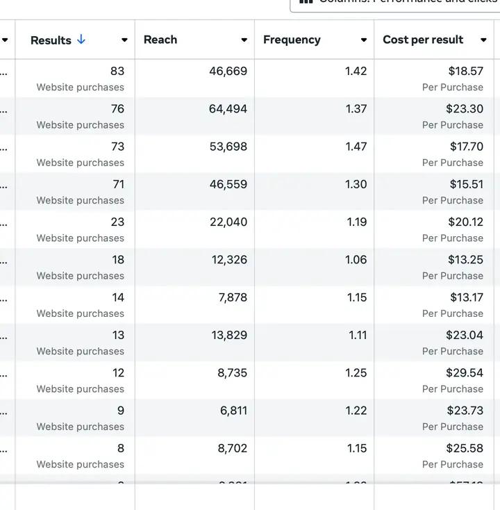Ads Manager table of purchases by ad with costs from about $13 to $30 per purchase